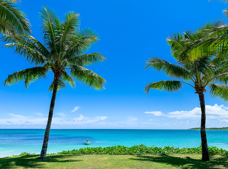 beach_6_800x593
